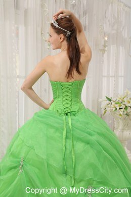 Sweetheart Beaded Appliques Spring Green Quinceanera Gowns