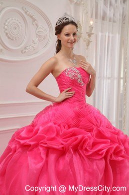 Appliques Strapless Pick Ups Hot Pink 2013 Quinceanera Gowns