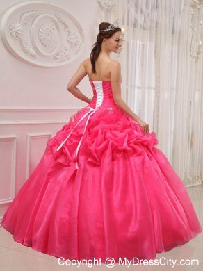 Appliques Strapless Pick Ups Hot Pink 2013 Quinceanera Gowns