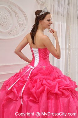 Appliques Strapless Pick Ups Hot Pink 2013 Quinceanera Gowns