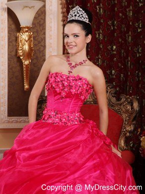 Flowers Strapless Pick Ups Coral Red Cheap Dresses For Sweet 15