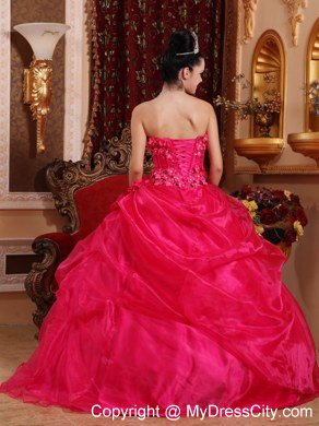 Flowers Strapless Pick Ups Coral Red Cheap Dresses For Sweet 15