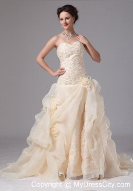 Embroidery Organza Pick Ups Court Train Champagne Wedding Bridal Gowns