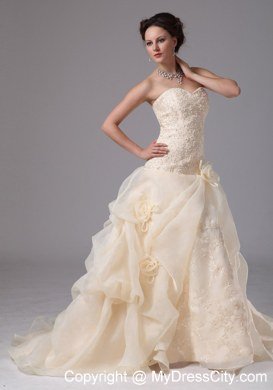 Embroidery Organza Pick Ups Court Train Champagne Wedding Bridal Gowns