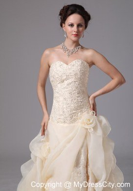 Embroidery Organza Pick Ups Court Train Champagne Wedding Bridal Gowns