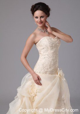 Embroidery Organza Pick Ups Court Train Champagne Wedding Bridal Gowns