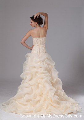 Embroidery Organza Pick Ups Court Train Champagne Wedding Bridal Gowns