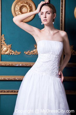 Plus Size Strapless Brush Train Organza Lace Wedding Anniversary Dress