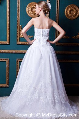 Plus Size Strapless Brush Train Organza Lace Wedding Anniversary Dress