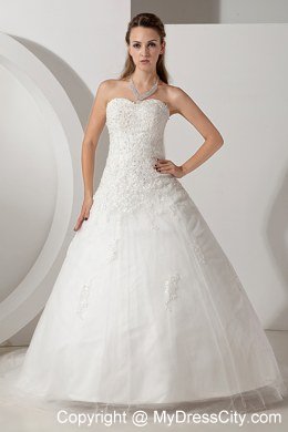 Pretty Sweetheart Court Train Tulle Appliques Wedding Dress