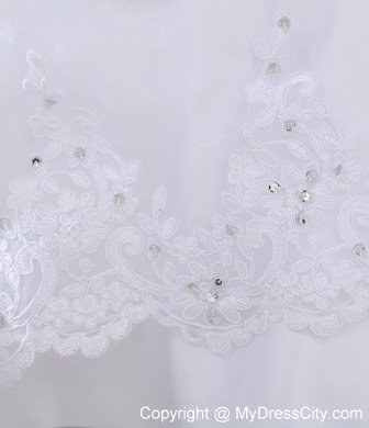 Appliques Beading Strapless Ball Gown Pick-ups Wedding Dress