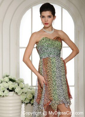 Leopard Colorful Chiffon High-low Semi-formal Prom Dresses