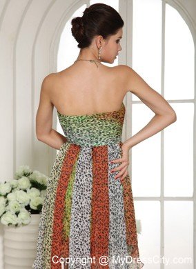 Leopard Colorful Chiffon High-low Semi-formal Prom Dresses