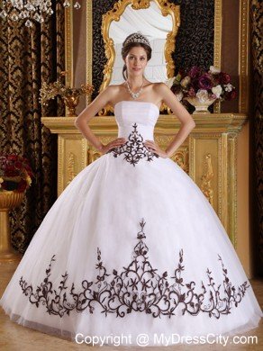 Simple Embroidery Quinceanera Dresses for Your Girls