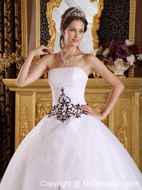 Simple Embroidery Quinceanera Dresses for Your Girls