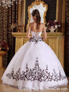 Simple Embroidery Quinceanera Dresses for Your Girls