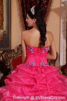 Rose Pink Strapless Appliqued Dress for Quinceanera