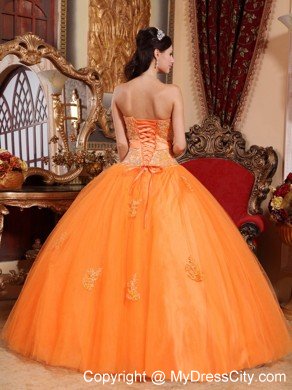 Special Orange Ball Gown Tulle Appliques Sweet 15 Dress