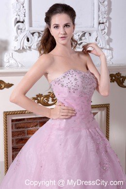 Sweety Baby Pink Sweetheart Organza Embroidery Quinceanera Dress