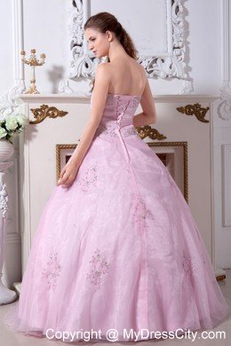 Sweety Baby Pink Sweetheart Organza Embroidery Quinceanera Dress