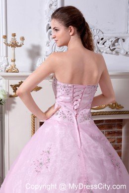 Sweety Baby Pink Sweetheart Organza Embroidery Quinceanera Dress