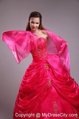 Red Ball Gown Strapless Organza Quinceanera Dress with Appliques