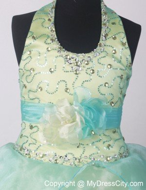 Yellow Green Beaded Little Girl Pageant Dresses Hand Made Flower