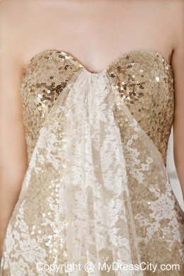 Best Selling Champagne Sequin and Lace Covered Maxi Celebrity Dress