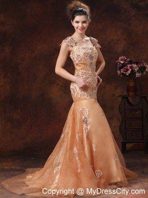 Brown Embroidery Square 2013 Prom Dress With Brush Train