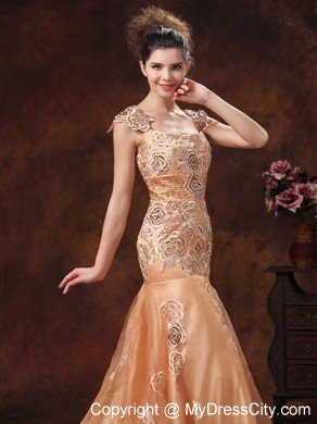 Brown Embroidery Square 2013 Prom Dress With Brush Train