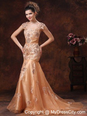 Brown Embroidery Square 2013 Prom Dress With Brush Train