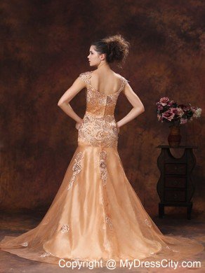 Brown Embroidery Square 2013 Prom Dress With Brush Train