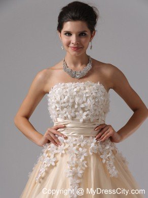 Champagne Appliques Ball Gown Floor-length Prom Dress