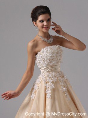 Champagne Appliques Ball Gown Floor-length Prom Dress