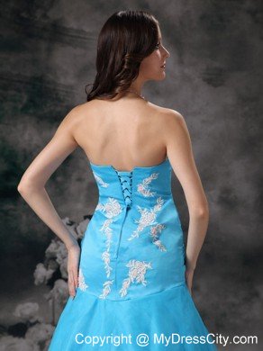 Aqua Blue Strapless Mermaid Appliques 2013 Prom Dresses