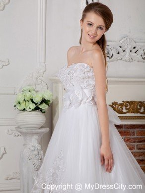 Court Train Lace Appliques Bowknot Decorate Back Bridal Gown