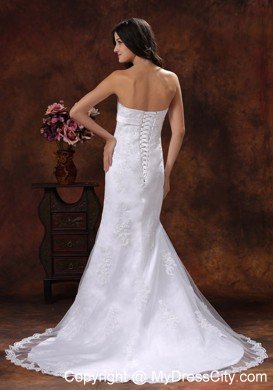 Strapless Mermaid Brush Train Sash and Lace Bridal Dress