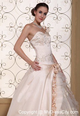 One Shoulder Champagne Wedding Gown with Flowers and Embroidery