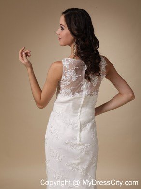 Column V-neck Brush Lace Appliques 2013 Wedding Dress with Hall