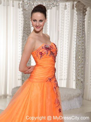 Orange A-Line Floor-length Organza Appliques Pageant Dress