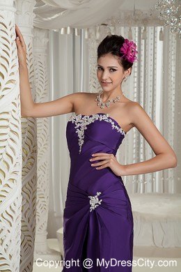 Customize Purple Column Prom Dress for Pageant Appliques Decorated