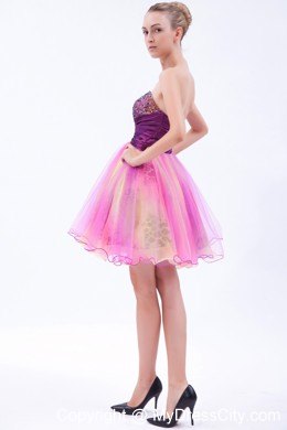 Multi-color Sweetheart Short Beading Party Dress with Leopard