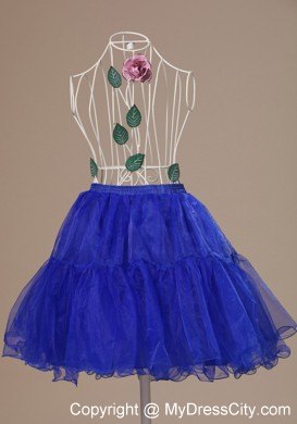 Custom Made 2013 Peacock Blue Petticoat