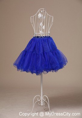 Custom Made 2013 Peacock Blue Petticoat