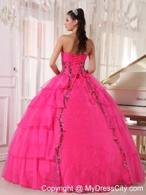 Hot Pink Sweetheart Organza Paillette Puffy Quinceanera Dress