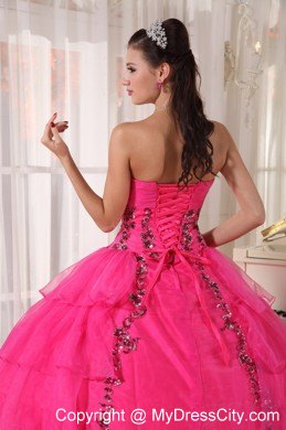 Hot Pink Sweetheart Organza Paillette Puffy Quinceanera Dress