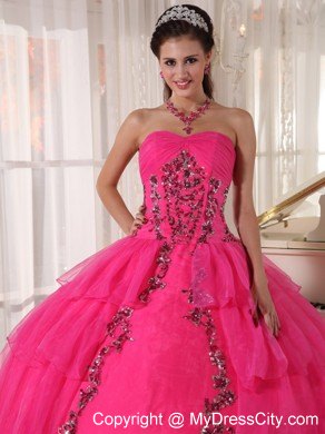 Hot Pink Sweetheart Organza Paillette Puffy Quinceanera Dress