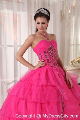 Hot Pink Sweetheart Organza Paillette Puffy Quinceanera Dress