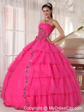 Hot Pink Sweetheart Organza Paillette Puffy Quinceanera Dress