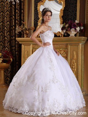 Corset Embroidery with Beading Puffy Quinceanera Dress